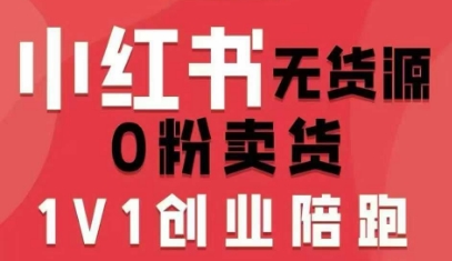 【19668】爱野佩佩小红书无货源0粉电商课，开店准备、选品策略、笔记撰写、视频剪辑、数据分析、账号打造、资料文档