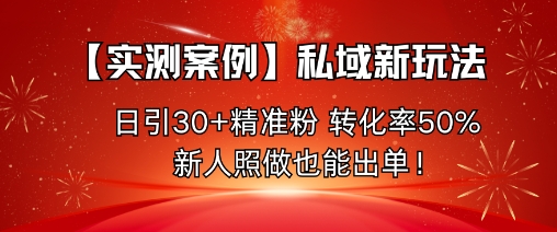 【19967】私域新玩法，日引30+精准粉，转化率50%，新人照做也能出单！