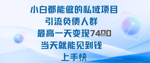 【19991】2025年小白都能做的私域项目引流负债人群最高一天变现1k+高变现难度低当天就能见到钱上手快