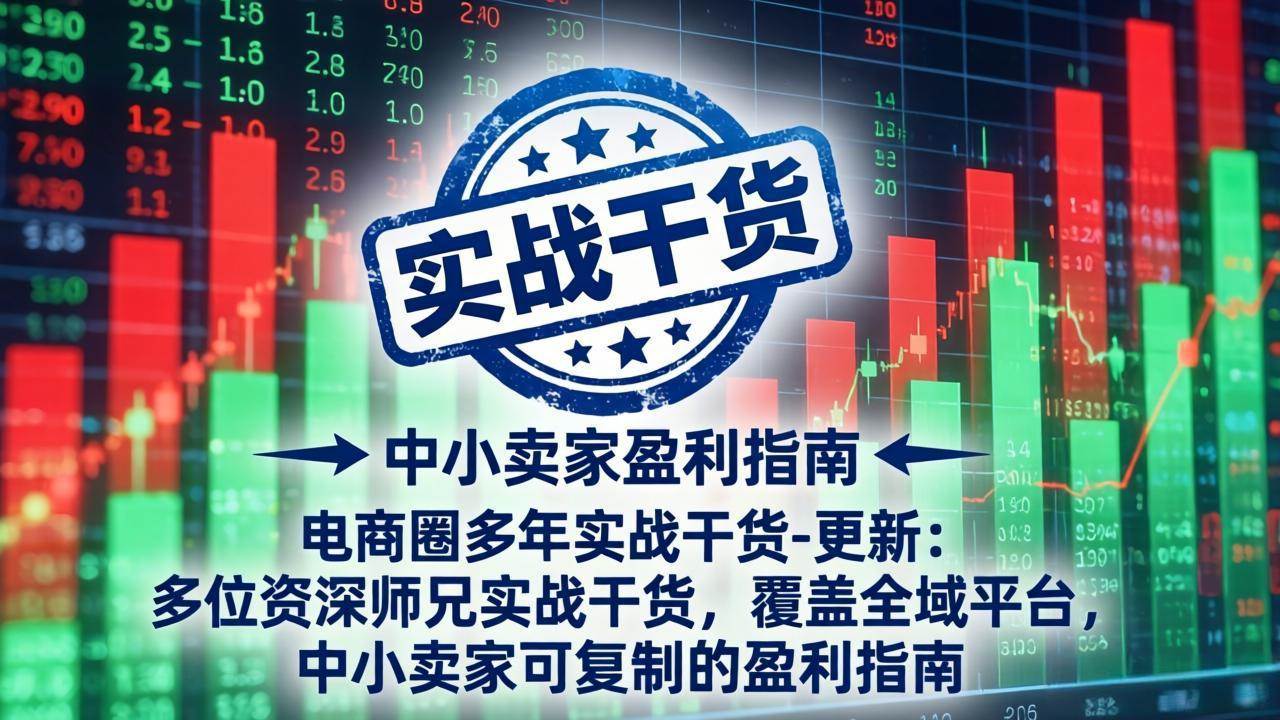 【21663】电商圈多年实战干货-更新5月10：多位资深师兄实战干货/覆盖全域平台，中小卖家可复制的盈利指南